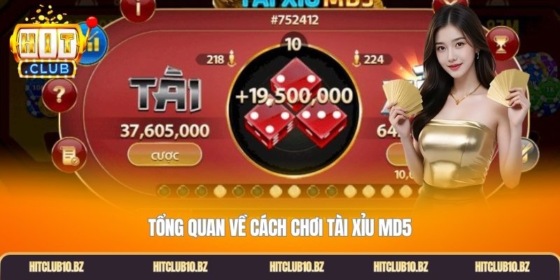 Tổng quan về cách chơi tài xỉu MD5