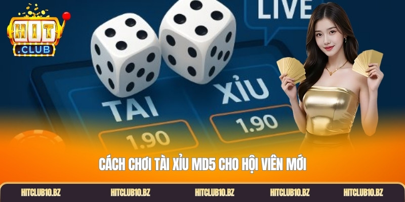 Cách chơi tài xỉu MD5 cho hội viên mới