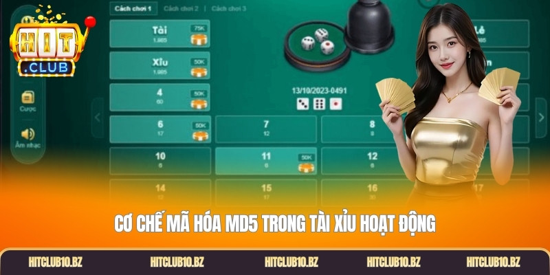 Cơ chế mã hóa MD5 trong tài xỉu hoạt động