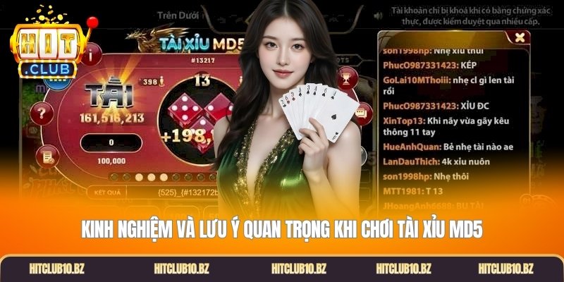 Kinh nghiệm và lưu ý quan trọng khi chơi Tài xỉu MD5