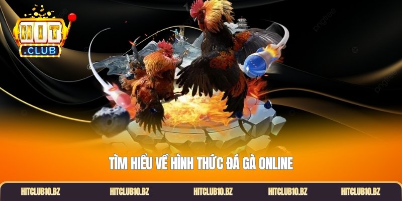 Tìm hiểu về hình thức đá gà online