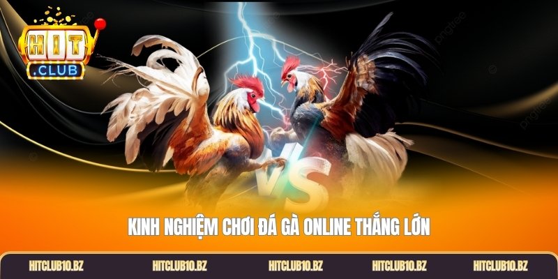 Kinh nghiệm chơi đá gà online thắng lớn